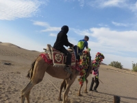 tour en chameau en Iran Yazd
