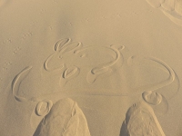 dessin dans les dunes de sable