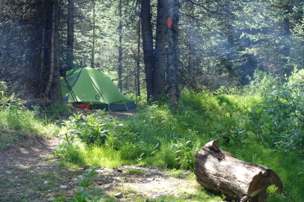 kananaskis camping