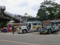 jeepney bohol